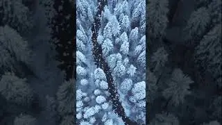 Welcome December! Relaxing Music by Enrico Fabio Cortese. #Shorts