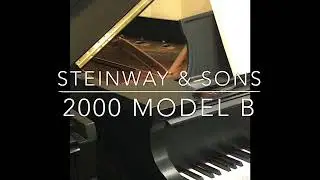 Steinway & Sons Grand Piano Model B 2000