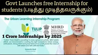 GOVERNMENT INTERNSHIP PROGRAM (TULIP)