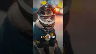This Cat Loves Motorcycle Rides 🐈&zwj;⬛ #shorts #cat #animals #cuteanimal #wholesome