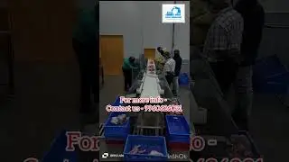 Chicken Sorting Conveyor Automation, Segregation, Separation , weighing