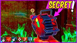 The Secret Ray Gun... (COD Zombies)