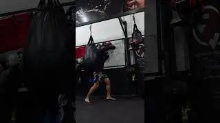 Liver shot knock out #boxing #mma #kickboxing #muaythai