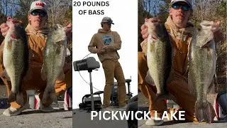 Pickwick Lake - 20 Pound Bag