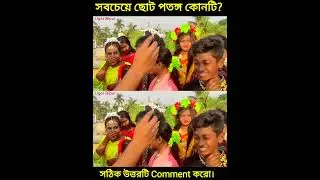 সবচেয়ে ছোট পতঙ্গ কোনটি || ধাঁধা || Gk Bangla || IQ Test || EQ Test || Dhadha Question