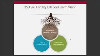 Week 11 - Soil Health Indicators: Biological Activity (ENR 5270)
