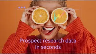 Prospect research data profiles in seconds - AI powered