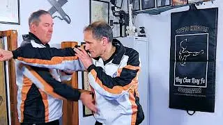 Wing Chun Basics
