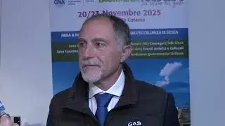 Trasporto pubblico locale extraurbano, interrogazione del deputato di ScN Giuseppe Lombardo