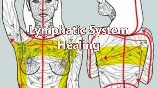 ❉ Lymphatic System Healing! ~ Immune System + Thymus + Spleen + DNA Healing ~ Relaxing Ocean Sounds