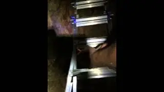 Sierra blaster back in action