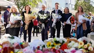 &lsquo;Shocking tragedy&rsquo;: Matt Thistlethwaite on Bondi attack