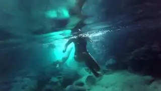 3 caves tour Dubrovnik (including Blue cave)