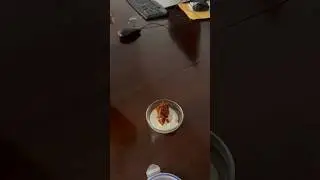 One small kitchen trick = less mess, more magic ✨ Save this! || Cooking Tips || USA Telugu Vlogs