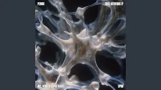 Rapid Feet Movement