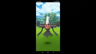Darkrai From Go Fest: Berlin!! #pokemongo #pokemongo #shorts