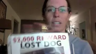 Lost Pet Recovery: Flyering in the Rain or Snow