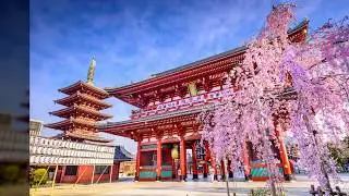 Tak Matsumoto Group - Oh Japan Our Time Is Now