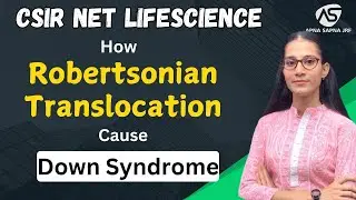 How Robertsonian Translocation Causes Down Syndrome | Genetics