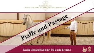 Trailer zu unserem Onlinekurs Piaffe und Passage - F&uuml;rstliche Hofreitschule B&uuml;ckeburg