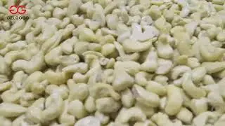 Peanut Seasoning Machine