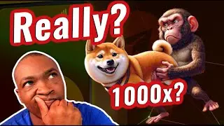 Next 1000x Monkey ShlT Inu meme coin: what you need to know || Adam Shelton || 1000x