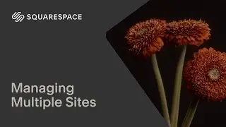 Managing Multiple Sites | Squarespace 7.1