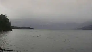 Bigg's orcas in Blackfish Sound