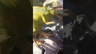 Dino DNA