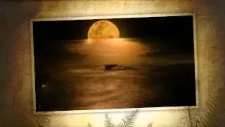 Chris Franke - Silence of the eclipse