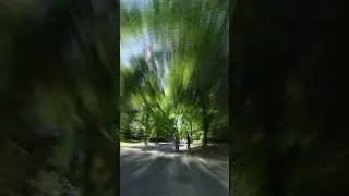 Vondelpark