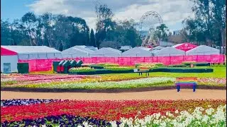 Floriade 2023! The Biggest And Best Garden Festival in Australia