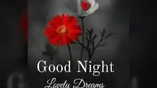 Good Night : Wishes Messages Status Video Greetings Photos Sms Wallpaper Quotes Messages #GoodNight