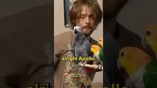 Apollo Acting a Fool 🤡