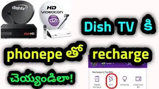 How to recharge DTH  in phonepe || in Telugu