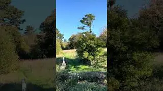 Locronan - Horizons of Bretagne / Горизонты Бретани