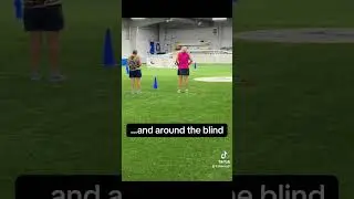August 3, 2025 - AKC Intermediate FETCH Test. Barley Boo
