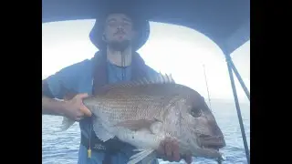 Landing my PB SNAPPER (15lb) at Kapiti Island