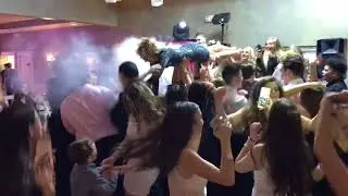 POSH ENTERTAINMENT DJ CO2 Gun