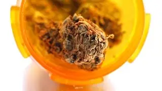 Vancouver Cannabis Conference Panel on Medical Marijuana