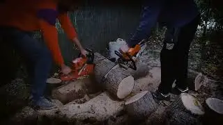 Stihl ms291 VS  Hecht 455