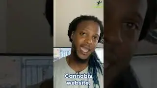 How Much Should You Spend on Cannabis Industry Web Design?