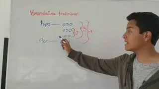 Hipo-oso;oso;ico;Per-ico