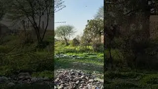 Chakwal village