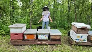 Growing from 2 to 20 - Part 10 🐝