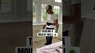 How to deal with a mouldy wall #mould #painting #decorating