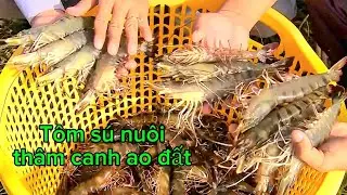Ng&agrave;nh t&ocirc;m ph&aacute;t triển v&ugrave;ng nguy&ecirc;n liệu