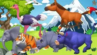 Learn Animal sounds with Song Kids Education | Animal Abc