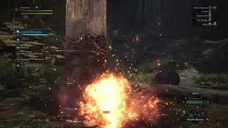 PLEASE someone kill a TEMPERED ELDER DRAGON like this