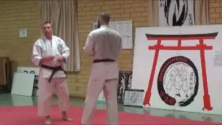 Tegumi Lesson 2 - Combination Tegumi using Quadrant Drill
